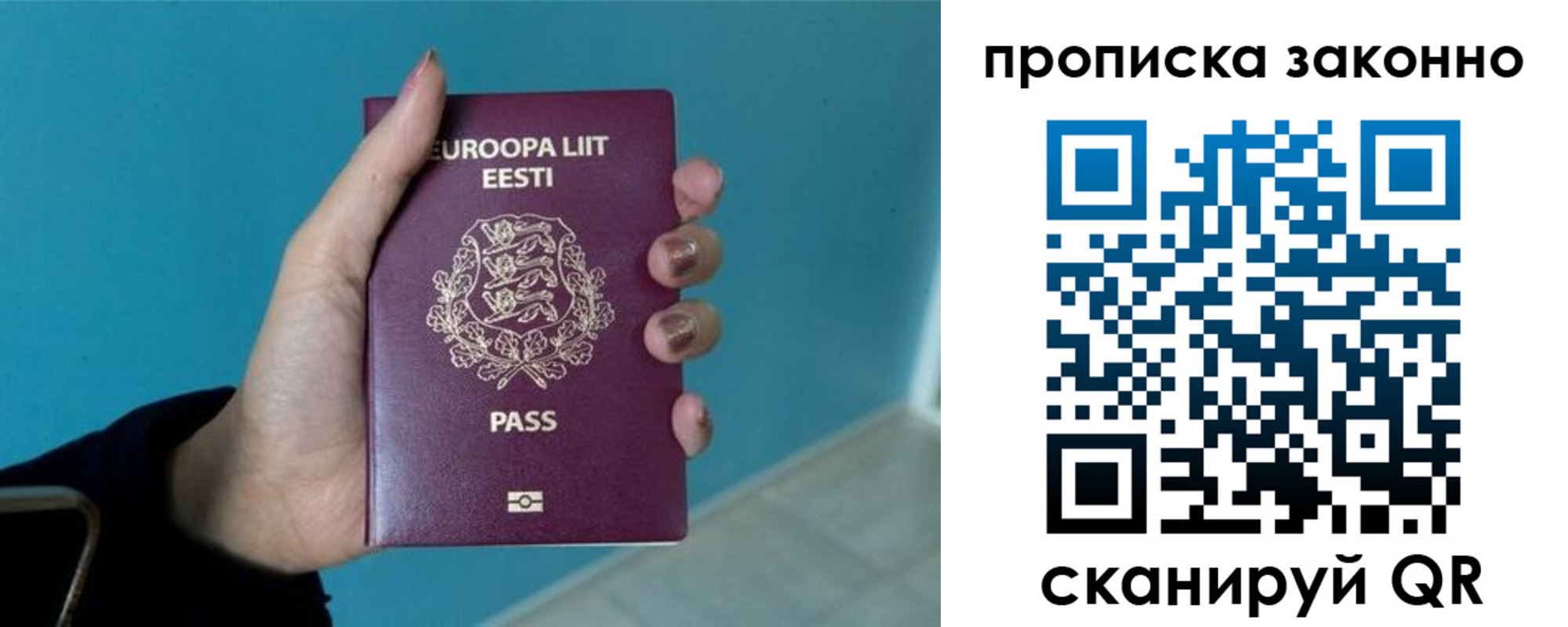 прописка гарантия в Каргате